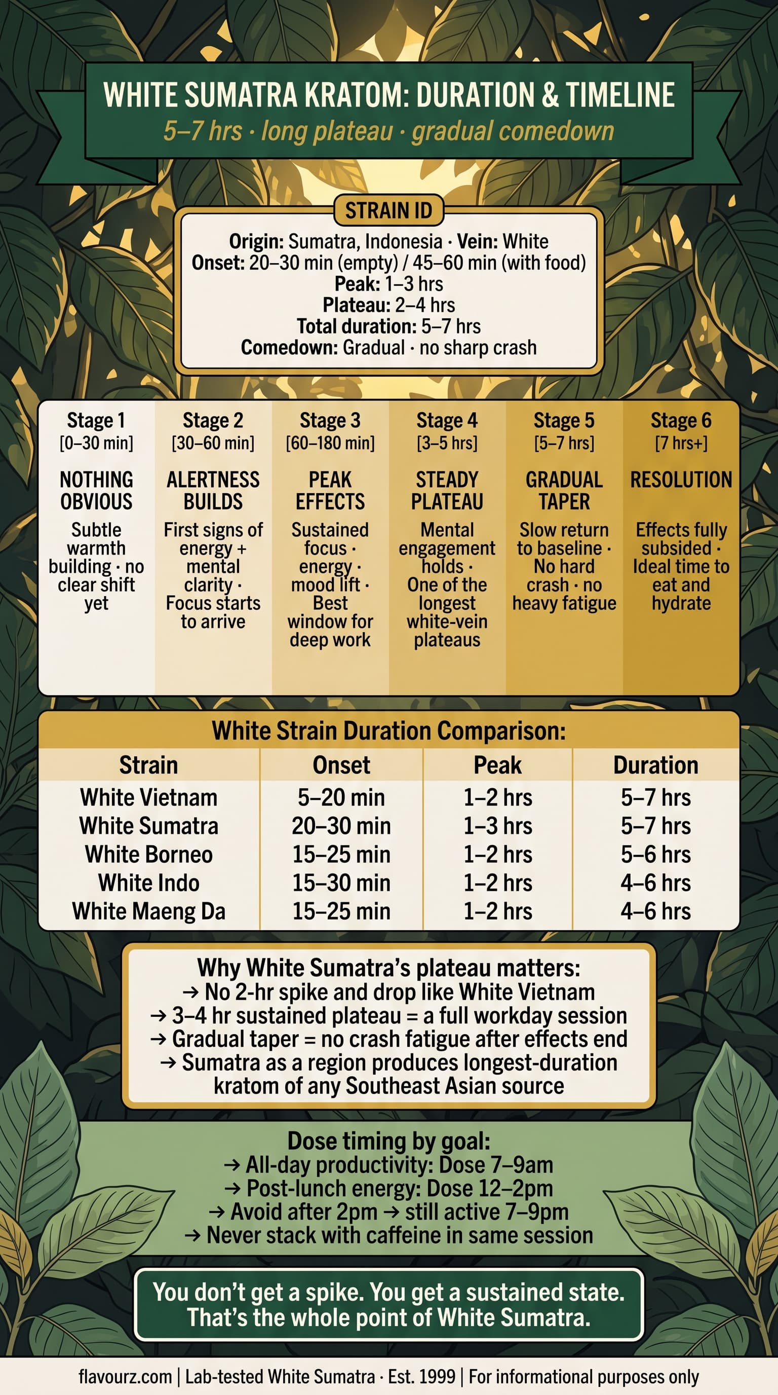 infographic for How Long Does White Sumatra Kratom Last